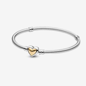 Charmsy Pandora Domed Golden Clasp Snake Two-tone | BX8603124