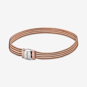 Charmsy Pandora Reflexions Multi Snake Two-tone | VB1230576